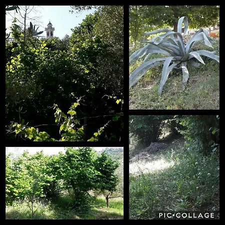 Πανσιόν Rural House Rondini *
