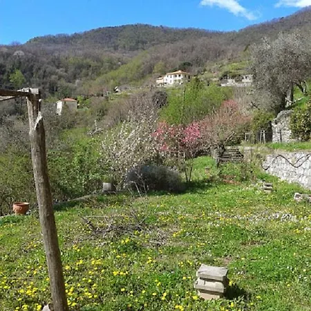 Rural House Rondini