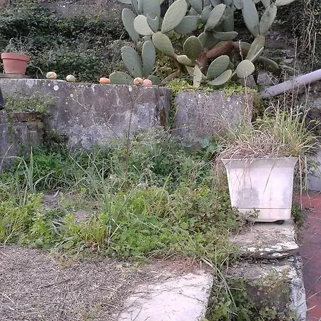 Πανσιόν Rural House Rondini Camposasco
