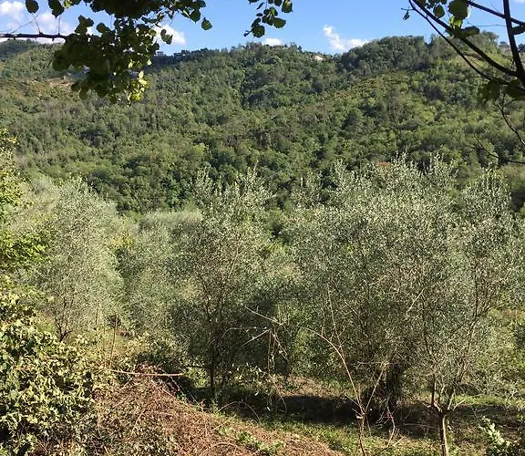 게스트하우스 Rural House Rondini Camposasco